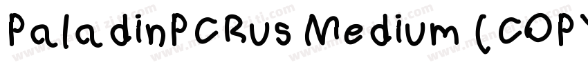 PaladinPCRus Medium (COPY 2)字体转换